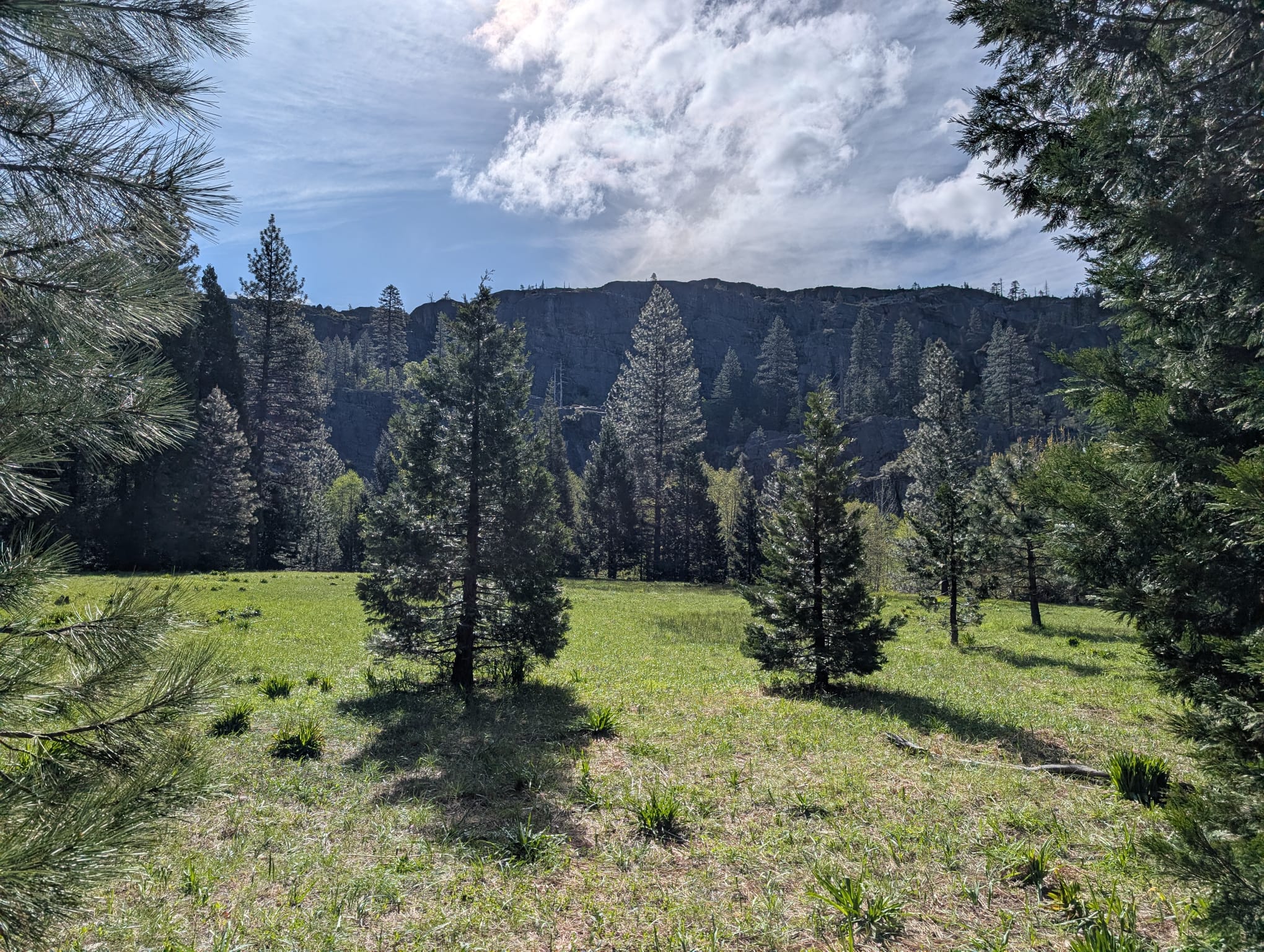 Meadow in the mountains